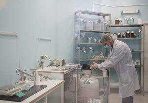 hpb-spb_photo_13
